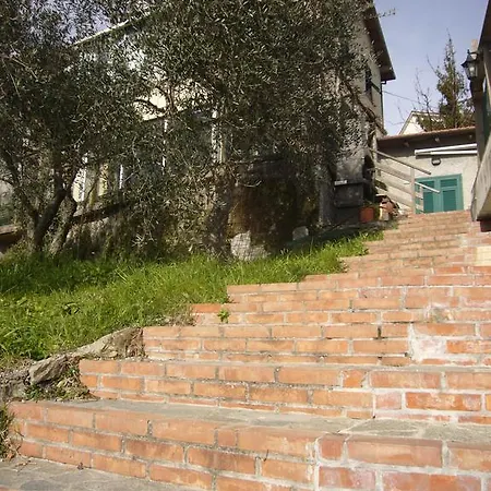 Olivarancio * Leivi