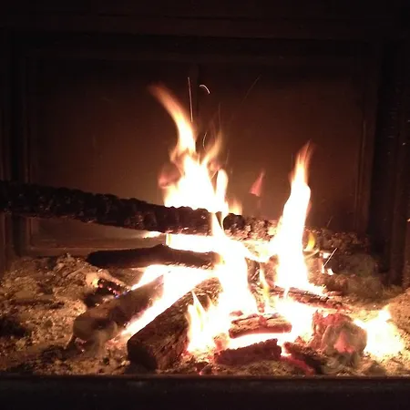 Olivarancio 팜스테이 Leivi