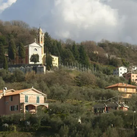 Olivarancio 팜스테이 Leivi