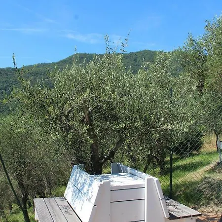 Olivarancio 팜스테이