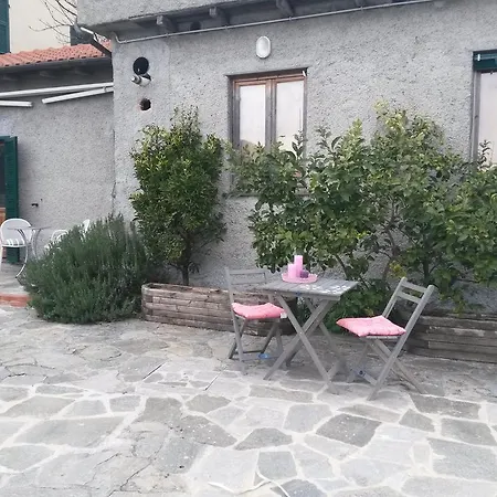 Olivarancio * Leivi
