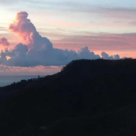 Alloggio per agriturismo Olivarancio *