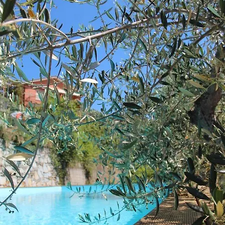 Vakantieboerderij Olivarancio