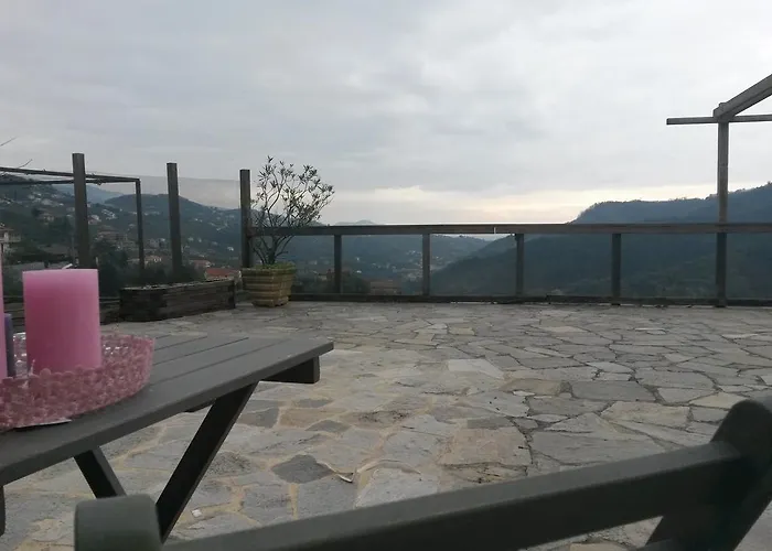 Farma Olivarancio Leivi