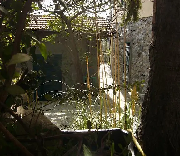 Vakantieboerderij Olivarancio *