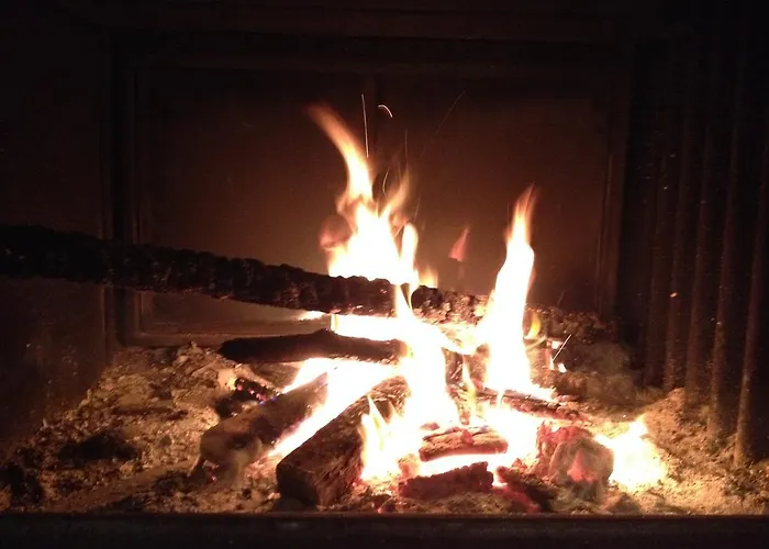 Olivarancio Farma Leivi