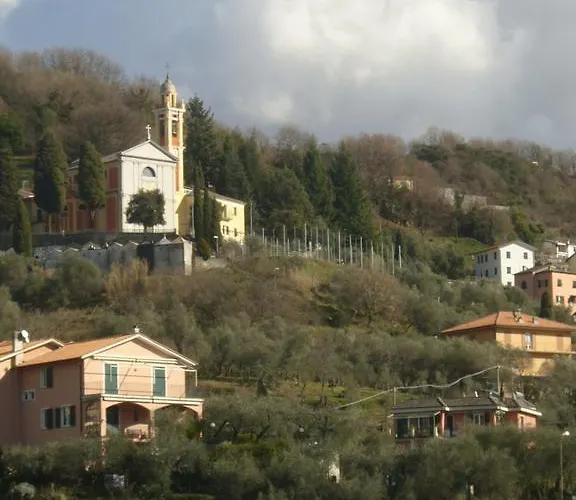 Olivarancio Farma Leivi